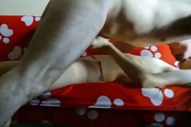 Live ABG Bispak Hotel Bintang Lima Menggoda